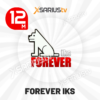 Server Forever IKS internet 12 months