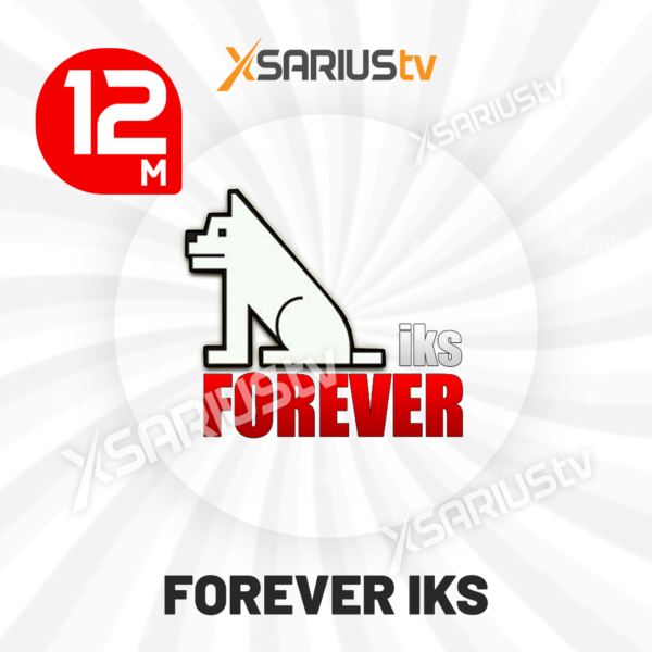 Server Forever IKS internet 12 months